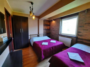 Axis apartment in the heart of Gudauri